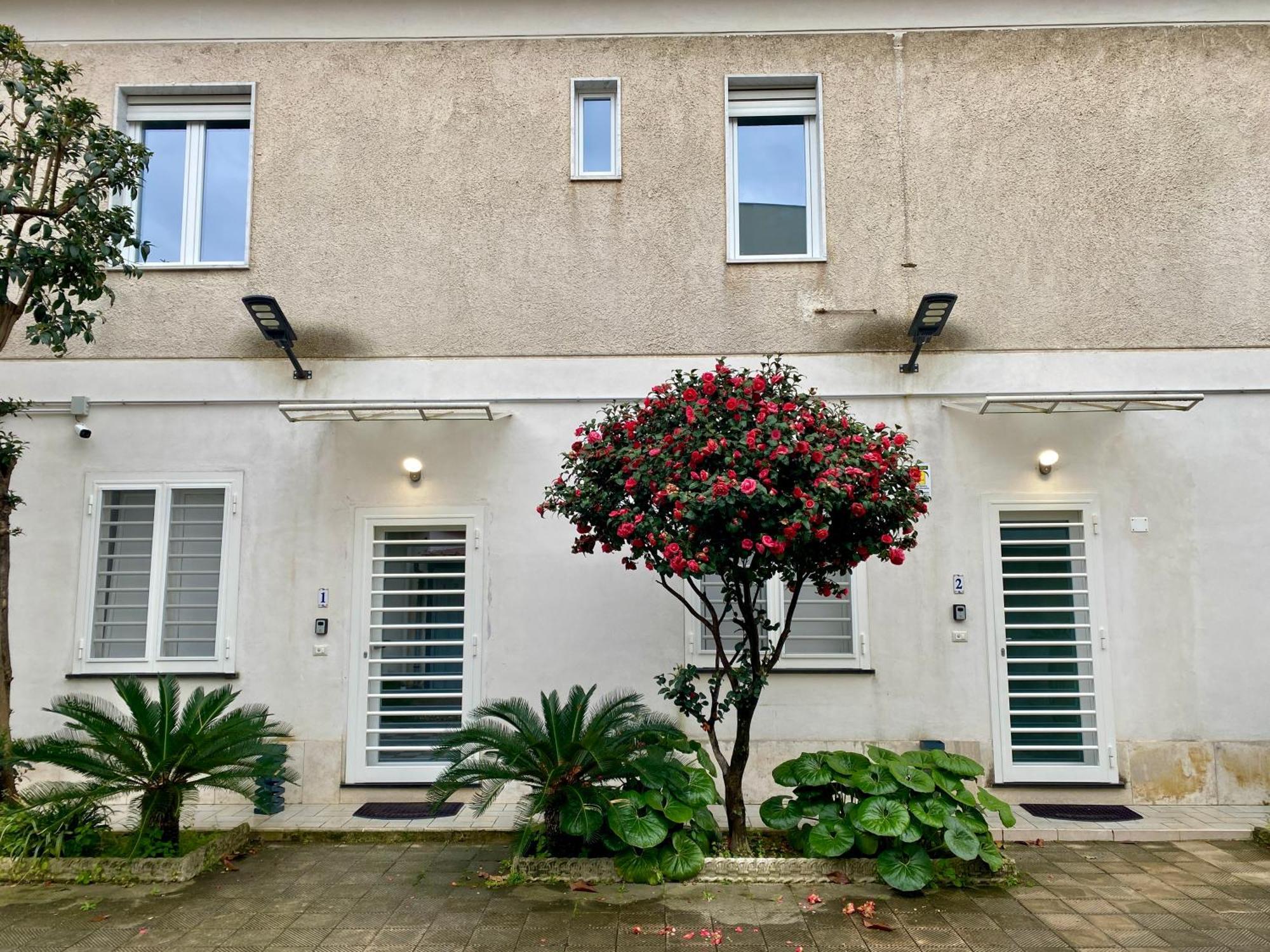 Appartamento Casa Crispino Piano Terra Per 2 Persone Frattaminore Eksteriør billede